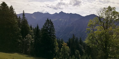 Ausflug mit Kindern - Witterung: Bewölkt - Schnepfau - Ausblick auf dem Weg zum Alpwegkopf - Wanderung zum Alpwegkopf