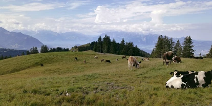 Ausflug mit Kindern - Umgebungsschwerpunkt: Berg - Schnepfau - Alm am Alpwegkopf - Wanderung zum Alpwegkopf