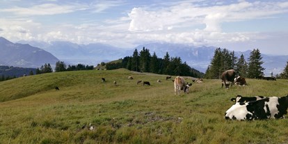 Ausflug mit Kindern - Ausflugsziel ist: eine Wanderung - Dornbirn Gütle - Alm am Alpwegkopf - Wanderung zum Alpwegkopf