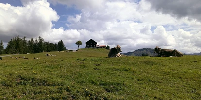 Ausflug mit Kindern - Witterung: Bewölkt - Schnepfau - Das Alpwegkopfhaus - Wanderung zum Alpwegkopf