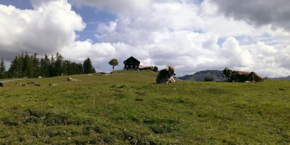 Ausflug mit Kindern - Ausflugsziel ist: ein Naturerlebnis - Dornbirn Gütle - Das Alpwegkopfhaus - Wanderung zum Alpwegkopf