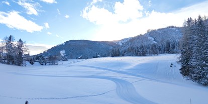 Ausflug mit Kindern - Witterung: Schnee - PLZ 8943 (Österreich) - Schilanglauf Hohentauern