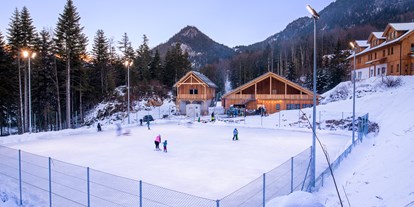 Ausflug mit Kindern - Ausflugsziel ist: ein Skigebiet - Grünau im Almtal - Eislaufplatz - Narzissendorf Zloam