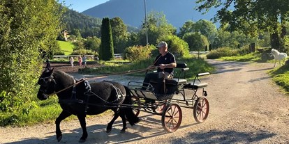 Ausflug mit Kindern - Wickeltisch - Grünau im Almtal - Pferdekutsche - Narzissendorf Zloam
