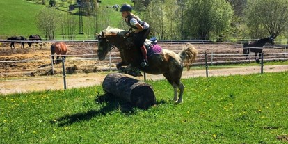 Ausflug mit Kindern - Ausflugsziel ist: eine Sportanlage - Grünau im Almtal - Vielseitigkeit bei den Pferdefreunden Zloam - Narzissendorf Zloam