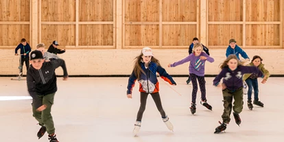 Ausflug mit Kindern - Winterausflugsziel - Rußbach - Eislaufhalle - Narzissendorf Zloam