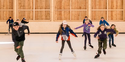 Ausflug mit Kindern - Ausflugsziel ist: ein Skigebiet - Grünau im Almtal - Eislaufhalle - Narzissendorf Zloam