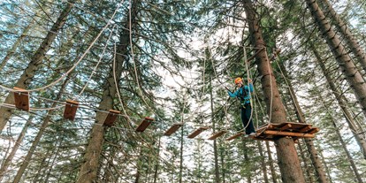 Ausflug mit Kindern - Themenschwerpunkt: Abenteuer - Waisenegg - Waldseilgarten - Waldseilgarten Hirschenkogel