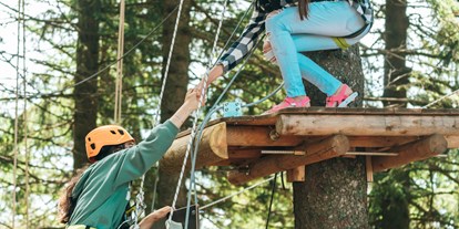 Ausflug mit Kindern - Themenschwerpunkt: Abenteuer - Waisenegg - Waldseilgarten Hirschenkogel
