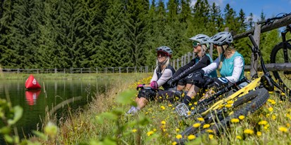 Ausflug mit Kindern - Pürahöfen (Hollenthon, Lichtenegg) - Wexl Trails 