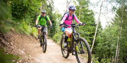 Trip with children - Sportanlage: Pumptrack - Oberrabnitz - Wexl Trails 