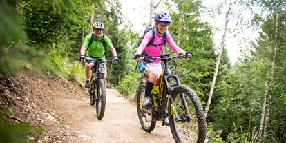 Ausflug mit Kindern - Sportanlage: Pumptrack - Zweiersdorf - Wexl Trails 