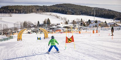 Ausflug mit Kindern - Wiener Alpen - Familienskiland der Wexl Arena St. Corona am Wechsel