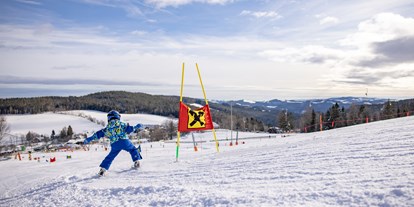 Ausflug mit Kindern - Witterung: Schnee - Kirchberg am Wechsel - Familienskiland der Wexl Arena St. Corona am Wechsel