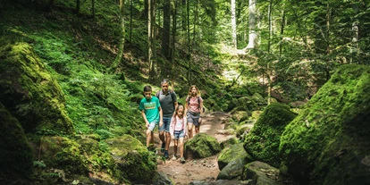 Trip with children - Themenschwerpunkt: Klettern - Schwarzwald - Monbachtal