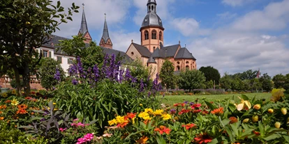Trip with children - Ausflugsziel ist: eine kulturelle Einrichtung - Stockstadt am Main - Kloster Seligenstadt 
