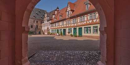 Ausflug mit Kindern - Ausflugsziel ist: ein sehenswerter Ort - Schloss Erbach 