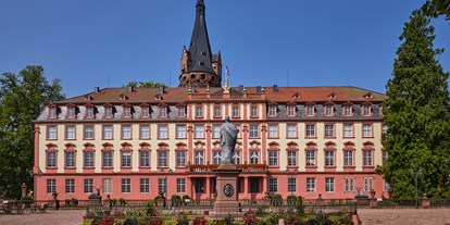 Ausflug mit Kindern - Themenschwerpunkt: Kultur - Frankfurt Rhein-Main - Schloss Erbach 