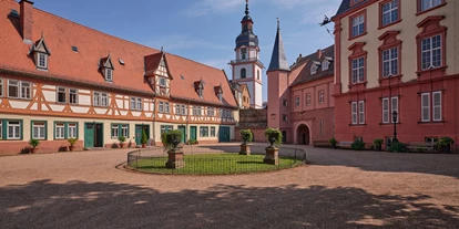 Ausflug mit Kindern - sehenswerter Ort: Schloss - Mönchberg - Schloss Erbach 