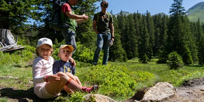 Trip with children - Ausflugsziel ist: ein Wandergebiet - Vorderkleinarl - Rangerwanderung