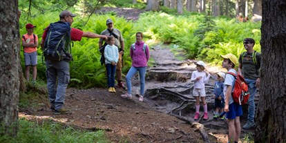 Ausflug mit Kindern - Ausflugsziel ist: ein Wandergebiet - Wörth (Rauris) - Rangerwanderung