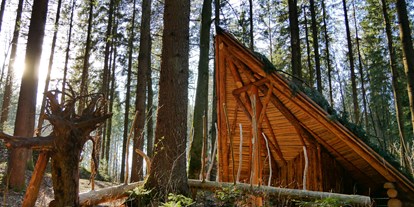 Ausflug mit Kindern - Ausflugsziel ist: ein Naturerlebnis - PLZ 4400 (Österreich) - Waldlehrpfad im Hallerwald