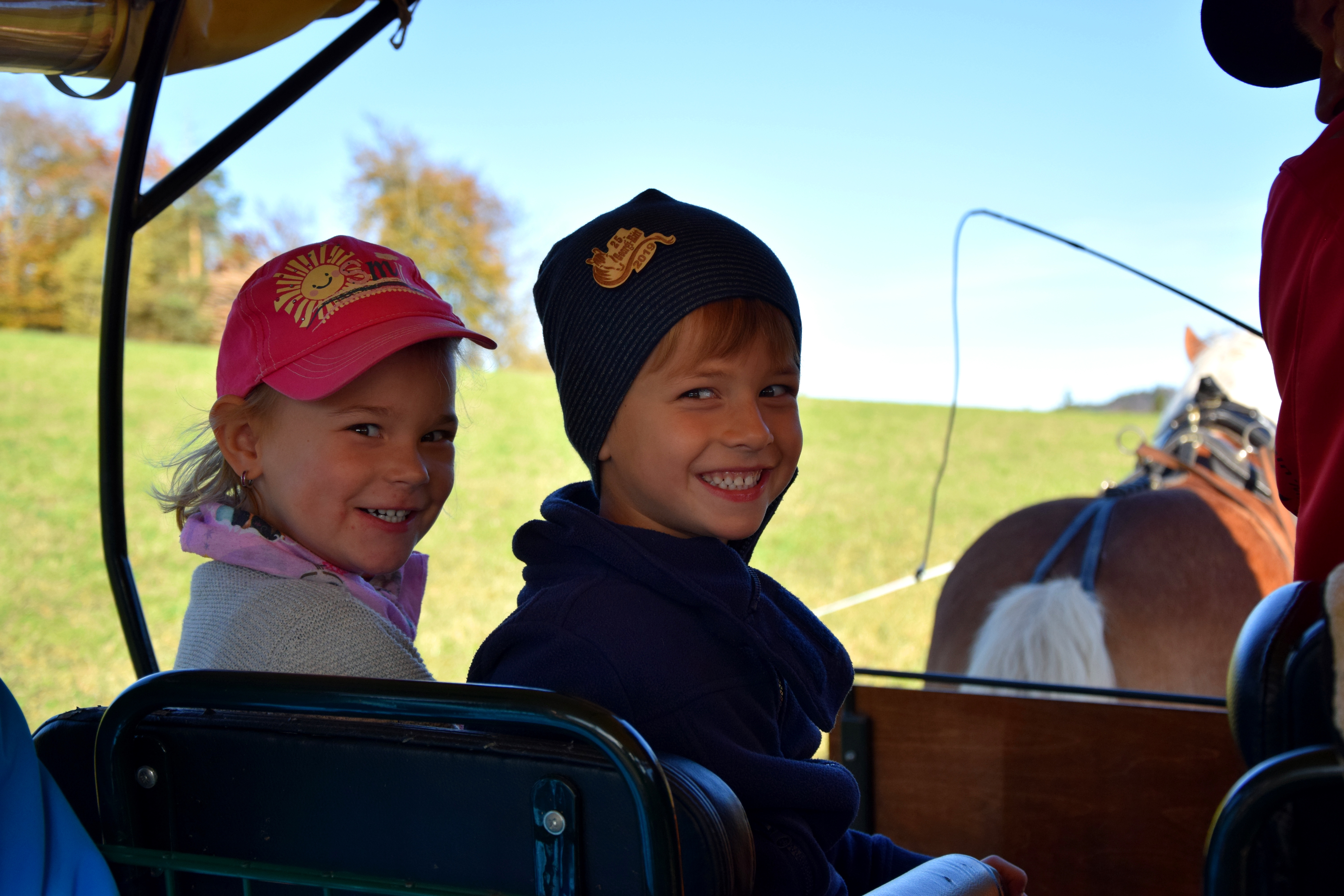 Ausflug mit Kindern - Georgs Kutscher Hof - Spaß für die ganze Familie