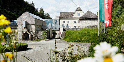 Ausflug mit Kindern - sehenswerter Ort: Wahrzeichen - Talsperre Klause - Burgenwelt Ehrenberg