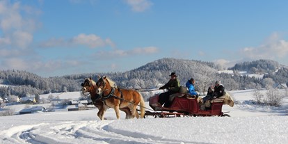 Ausflug mit Kindern - Witterung: Schnee - Großschönau (Großschönau) - Pferdeschlittenfahrten am Georgs Kutscher Hof