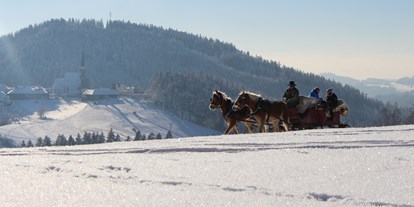 Ausflug mit Kindern - Winterausflugsziel - Zwettl-Niederösterreich - Pferdeschlittenfahrten am Georgs Kutscher Hof