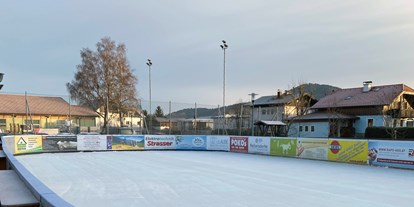 Ausflug mit Kindern - erreichbar mit: Bus - Flachgau - Eislaufplatz Obertrum am See