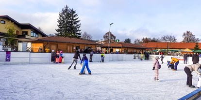 Ausflug mit Kindern - erreichbar mit: Bus - Flachgau - Eislaufplatz Obertrum am See