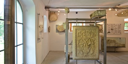 Ausflug mit Kindern - Ausflugsziel ist: ein Museum - Weißbriach - Römermuseum Teurnia