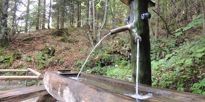 Ausflug mit Kindern - Schatten: überwiegend schattig - Archkogl - Brunnen, Kinderwanderweg Geisterwald - Geisterwald Russbach | Dachstein West