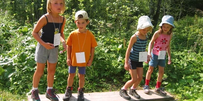Trip with children - Preisniveau: kostenlos - Austria - Spaß im Wald - Geisterwald Russbach | Dachstein West