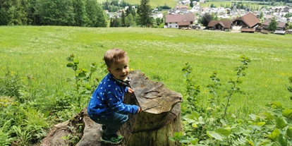Ausflug mit Kindern - Witterung: Wind - Zell (Nußdorf am Attersee) - Geisterwald Russbach | Dachstein West