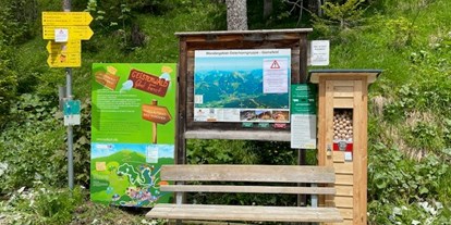 Ausflug mit Kindern - Umgebungsschwerpunkt: Berg - Waldhof - Geisterwald Russbach | Dachstein West