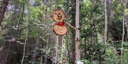 Ausflug mit Kindern - Ausflugsziel ist: ein Naturerlebnis - Österreich - Geisterwald Russbach | Dachstein West