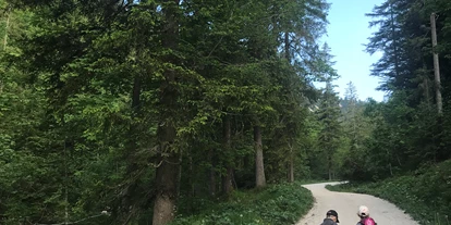 Trip with children - Bad Aussee - Geisterwald Russbach | Dachstein West