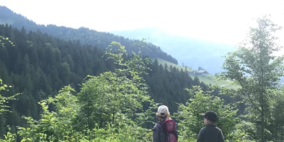 Ausflug mit Kindern - Umgebungsschwerpunkt: Wald - Zell (Nußdorf am Attersee) - Geisterwald Russbach | Dachstein West