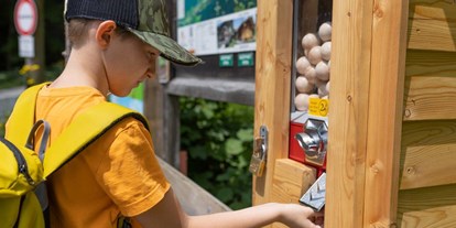 Ausflug mit Kindern - Umgebungsschwerpunkt: Land - Goisern - Geisterwald Russbach | Dachstein West