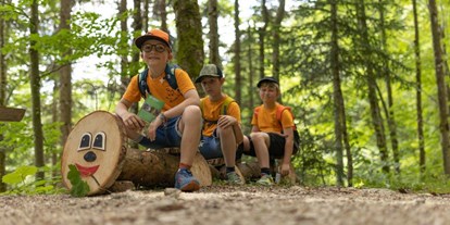 Ausflug mit Kindern - Themenschwerpunkt: Wandern - Birnberg - Geisterwald Russbach | Dachstein West