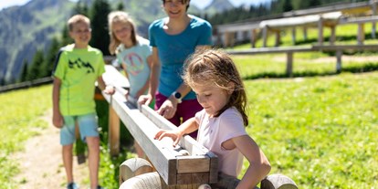 Ausflug mit Kindern - Witterung: Wechselhaft - Wald am Arlberg - Golmi´s Forschungspfad