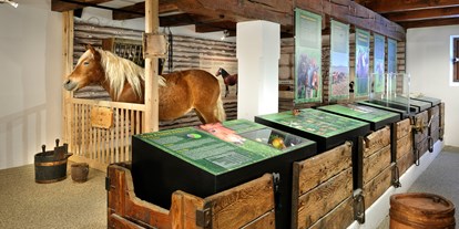 Ausflug mit Kindern - Ausflugsziel ist: ein Museum - PLZ 5660 (Österreich) - Foto: C. Wöckinger - Agentur Nill - Noriker Pferdemuseum 