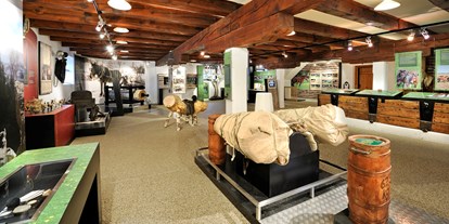 Ausflug mit Kindern - Ausflugsziel ist: ein Museum - PLZ 5660 (Österreich) - Noriker Pferdemuseum 