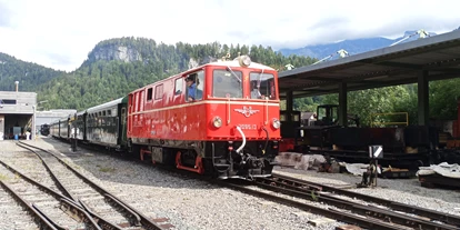 Trip with children - Ausflugsziel ist: eine Bahn - Austria - Wälderbähnle