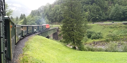 Trip with children - Ausflugsziel ist: eine Bahn - Austria - Wälderbähnle