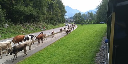 Ausflug mit Kindern - barrierefrei - Wald am Arlberg - Wälderbähnle