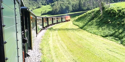 Trip with children - Parkmöglichkeiten - Schnepfau - Länger Niatalgietug mit Diesellokomotive 2095.13 - Wälderbähnle