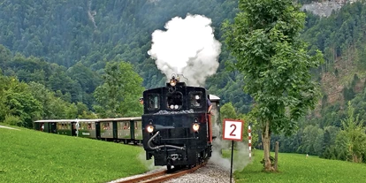 Trip with children - Ausflugsziel ist: eine Bahn - Austria - Mit unserer Dampflok unterwegs von Bezau nach Schwarzenberg. - Wälderbähnle